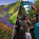 विश्व प्रसिद्ध फूलों की घाटी पर्यटकों के लिए खुली