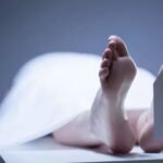 पेड़ गिरने से एक की मौत, दूसरा गंभीर घायल